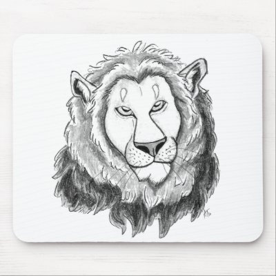 Lion Face Sketch