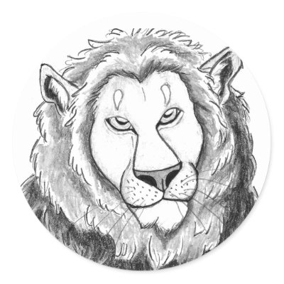 Lion Face Sketch