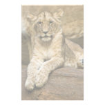 Lion Personalized Stationery