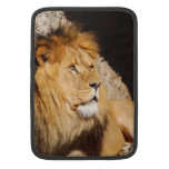 Lion Photo 13" MacBook Sleeve