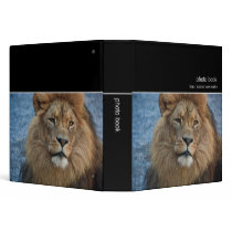 Lion · Photo Book binders by SabineSt Lion · Photo Book binders