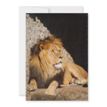 Lion  Photo Invitation