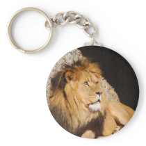 Lion Photo Keychain