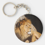 Lion Photo Keychain