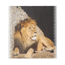 Lion Photo Notepad