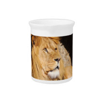 Lion Photo Pitcher