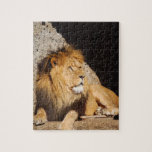 Lion Photo Puzzle