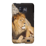 Lion Photo Samsung Galaxy Case