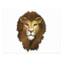 Lion Post Card
