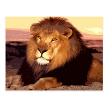 Lion Post Cards