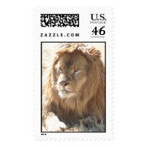 Lion postage