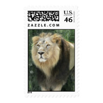 Lion postage by EveStock Lion postage