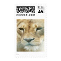 Lion Postage postage
