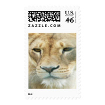 Lion Postage postage by deesbasenjis Lion Postage postage