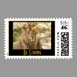Lion Postage stamps