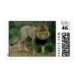 Lion postage
