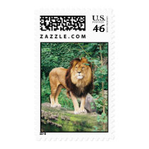 Lion Postage Stamp