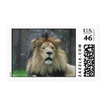 Lion Postage Stamp