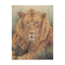 lion postcards by Majestic_Animals lion postcards