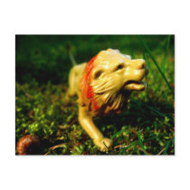 lion postcards