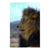 Lion Poster posters by thehatch Lion Poster posters