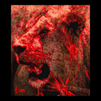 Lion posters