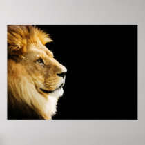 Lion Print