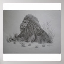 Lion Print