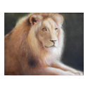 Lion Print by goewyn Lion Print
