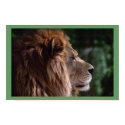Lion profile posters by amwesley Lion profile posters