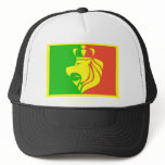 Lion Rasta Reggae Flag Mesh Hats