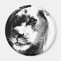 Lion Refrigerator Magnet