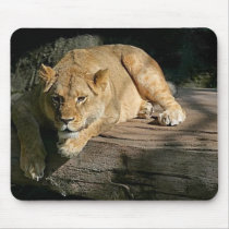 lion-resting mousepads