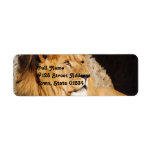 Lion Resting Return Address Label