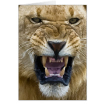 Lion Roar Card by bebek_ijo Lion Roar Card