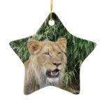 Lion Roar Ornament