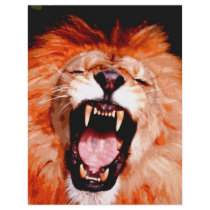 Lion Roaring flyers