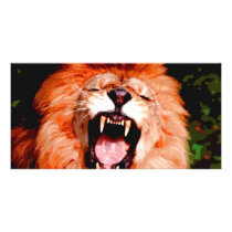Lion Roaring photo cards