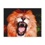 Lion Roaring Post Card