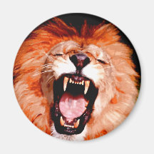 Lion Roaring Refrigerator Magnets