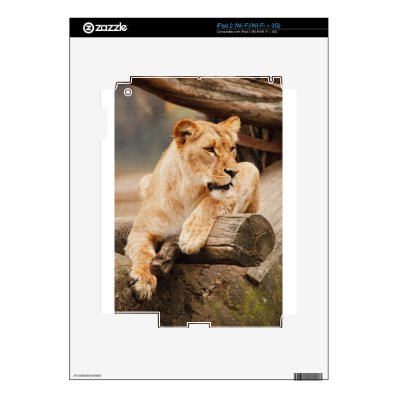 LION SKINS FOR iPad 2