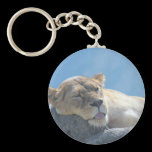 Lion Sleeping keychains