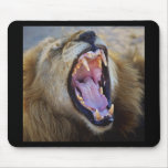 Lion Snarling wildlife safari mousepads