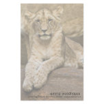 Lion Stationery