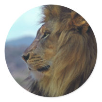 Lion Sticker by thehatch Lion Sticker