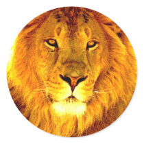Lion Stickers