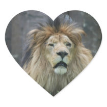 Lion  Sticker