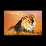 Lion canvas prints