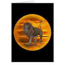 Lion Sunset Cards