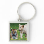 Lion & tiger cubs at play key chain